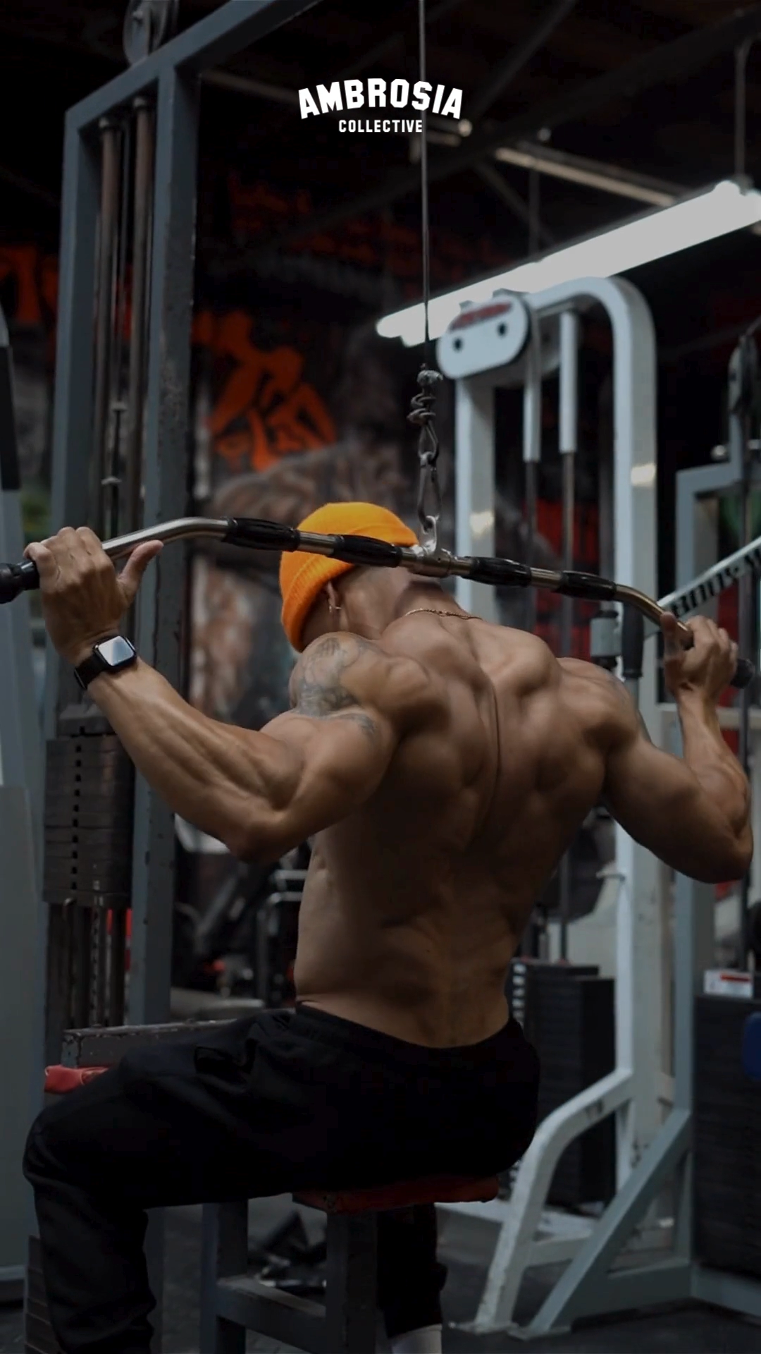 Copy_Ambrosia_VIDEOS